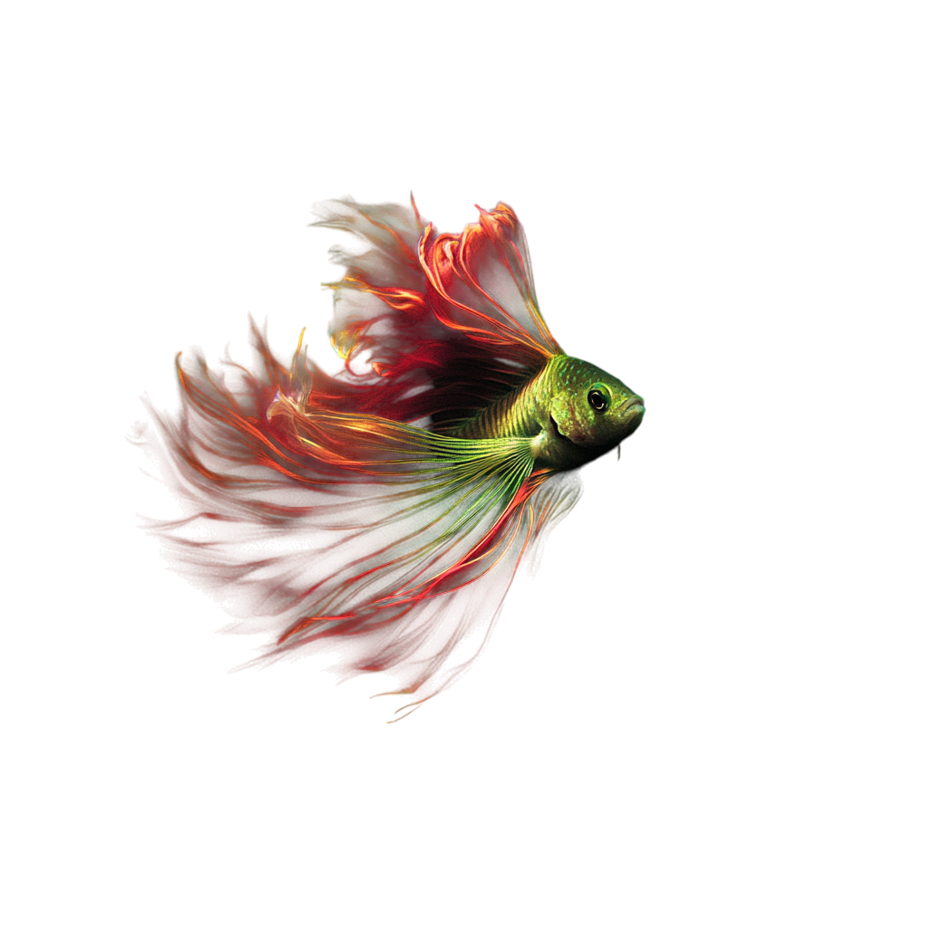 How to Create a Course Creator Incentive Program with WordPress