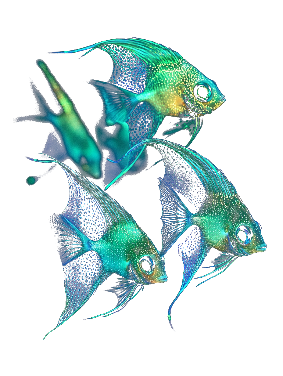 Want To Find More Affiliates? Start Here